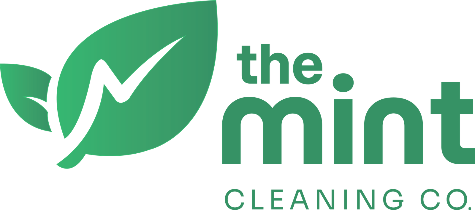 The Mint Cleaning Co.